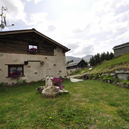Mountain Chalet Scoiattolo By Livigno Accomodation エクステリア 写真