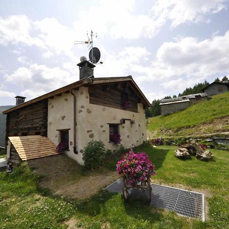 Mountain Chalet Scoiattolo By Livigno Accomodation エクステリア 写真
