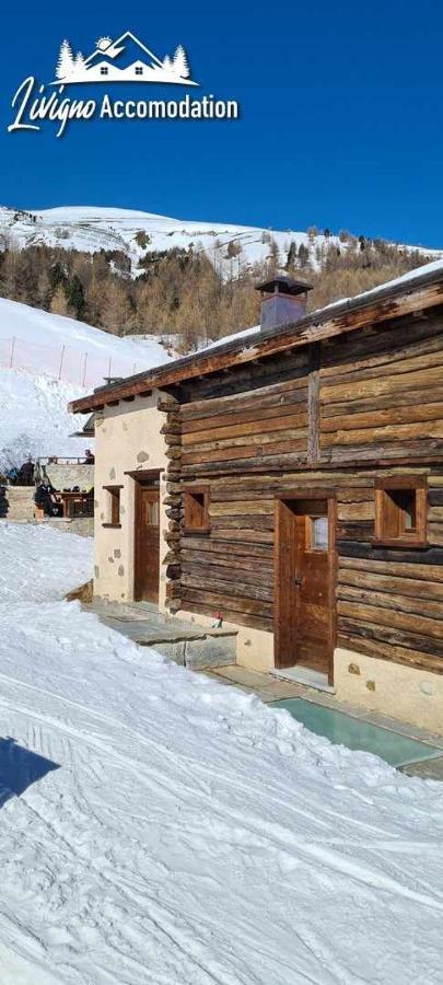 Mountain Chalet Scoiattolo By Livigno Accomodation エクステリア 写真
