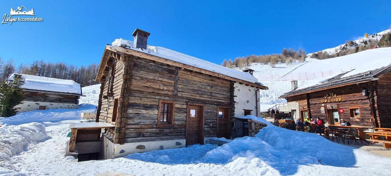 Mountain Chalet Scoiattolo By Livigno Accomodation エクステリア 写真