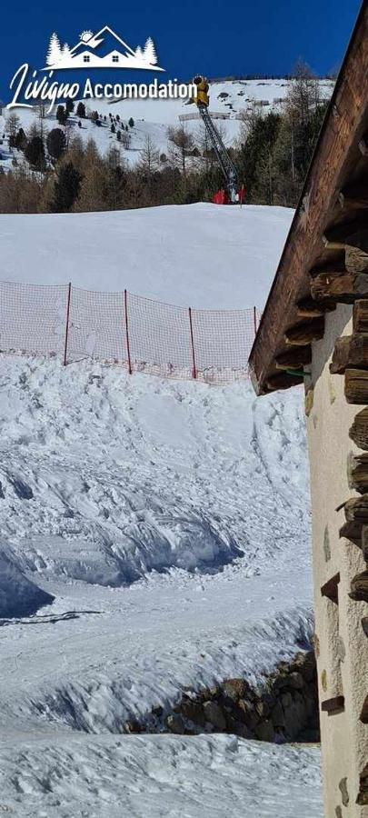 Mountain Chalet Scoiattolo By Livigno Accomodation エクステリア 写真