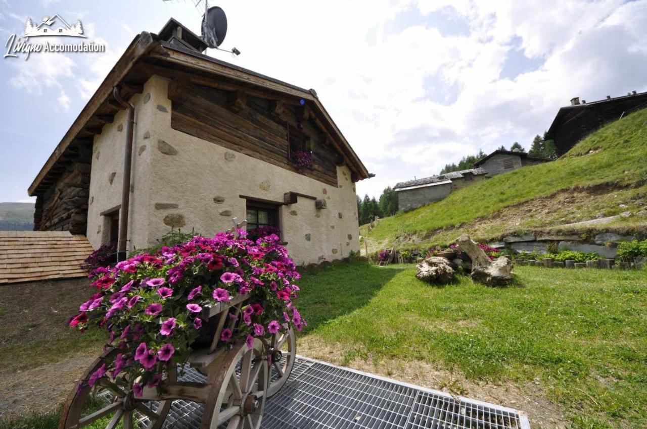 Mountain Chalet Scoiattolo By Livigno Accomodation エクステリア 写真