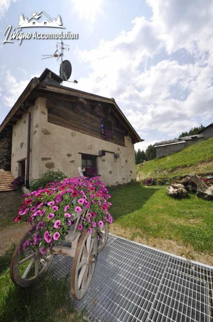 Mountain Chalet Scoiattolo By Livigno Accomodation エクステリア 写真