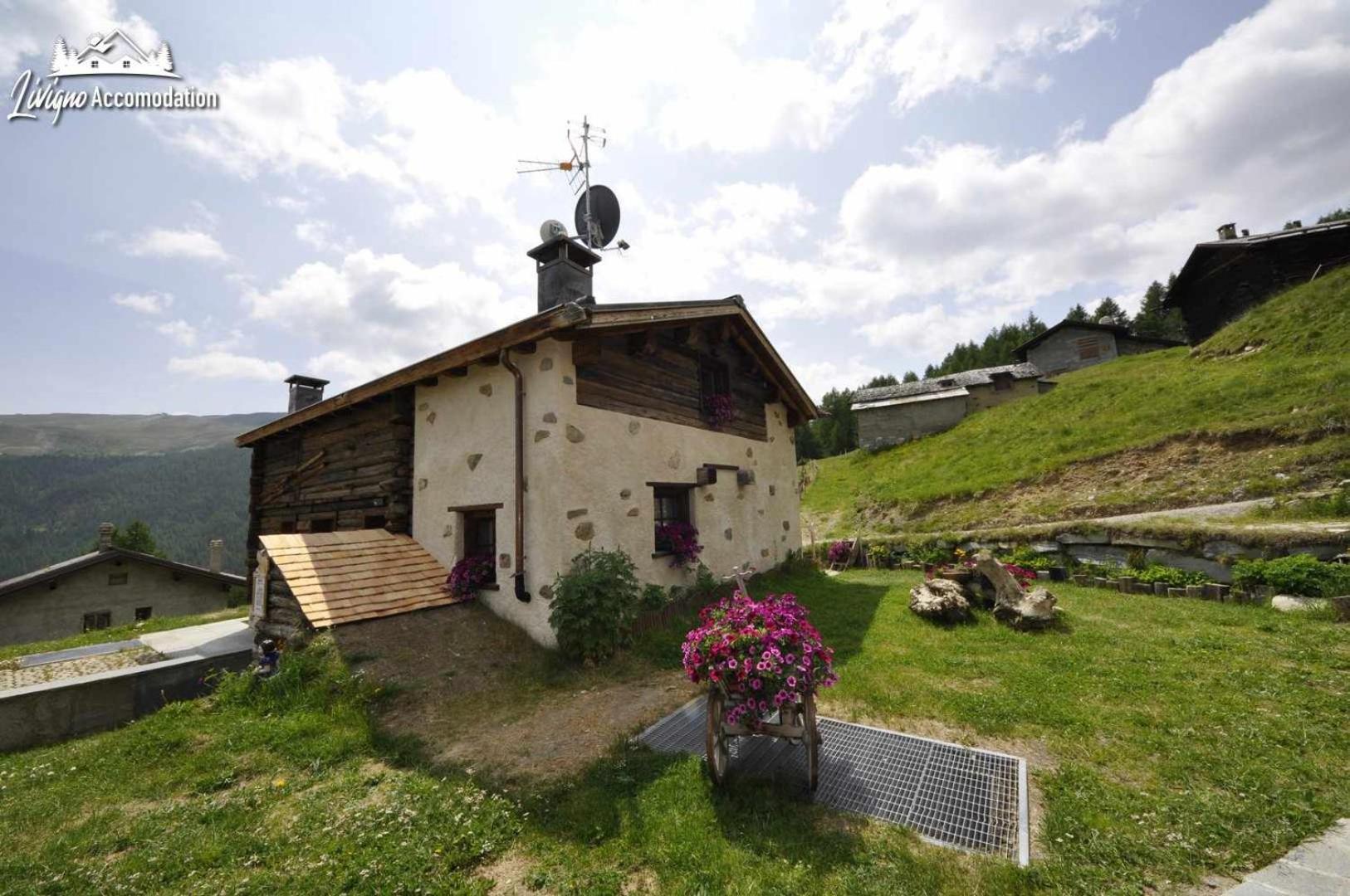 Mountain Chalet Scoiattolo By Livigno Accomodation エクステリア 写真